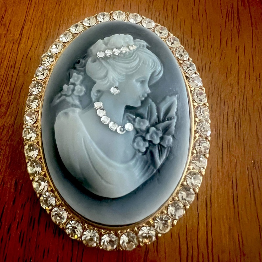 Absolutely stunning brooch, new. Very Victorian feel.